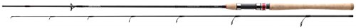 Daiwa Procaster Spinning 2,70m 30-60g Angelrute