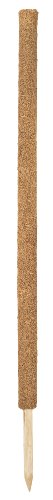 Connex Kokos-Pflanzstab 110 cm, verlängerbar/Pflanzenhilfe/Rankhilfe/Pflanzenstütze/Garten/FLOR78472