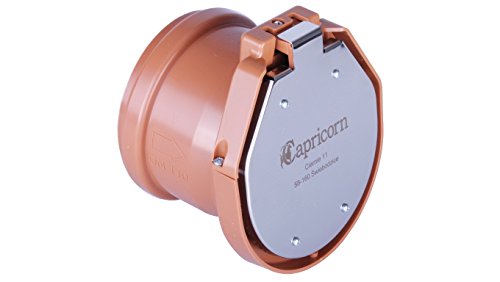 Rückstauklappe Froschklappe DN 110 - Capricorn