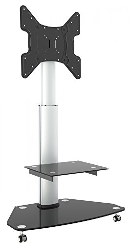RICOO Fernsehständer mit Rollen TV Ständer Universal FS0200 LCD Fernseher Standfuss Fernseh Standfuß Möbel Schwenkbar Drehbar Höhenverstellbar Halterung DVD Receiver Glas Regal / VESA 400x400 Silber