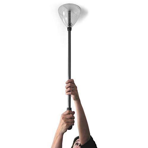 Rainbow Cool Stuff BugAway Best Design Insect and Spider Catcher. Extra Long Handled 73cm Bug Catcher Humane Trap. No Need to get Close!