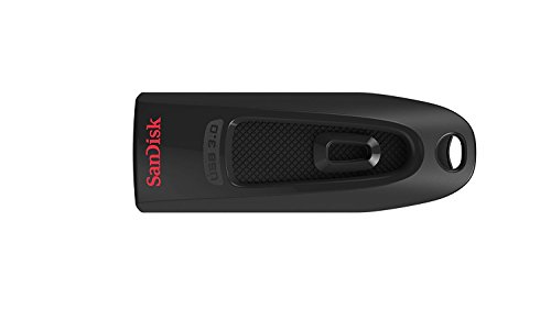 SanDisk Ultra 256GB USB-Flash-Laufwerk USB 3.0 bis zu 100MB/Sek