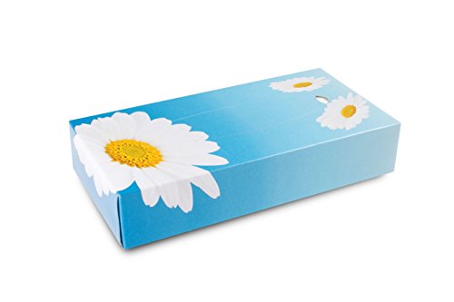 Funny Kosmetikboxen 2 lagig 100 Tücher per Box hochweiß, 10er Pack (10 x 100 Stck)