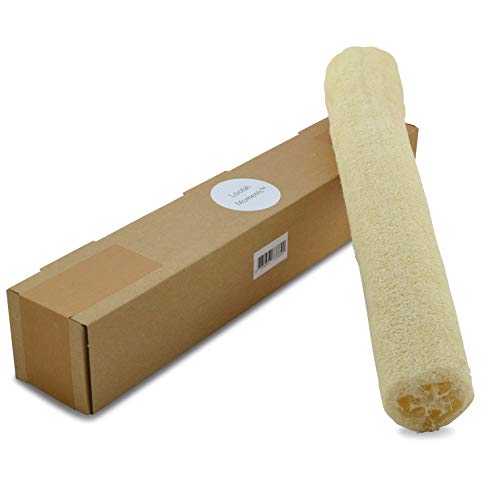 Große Luffagurke / Luffakürbis / Luffa | Deko, Hobby oder als Geschirrschwamm