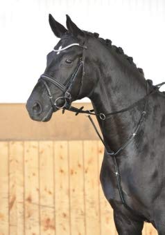 Busse Martingal Crystal