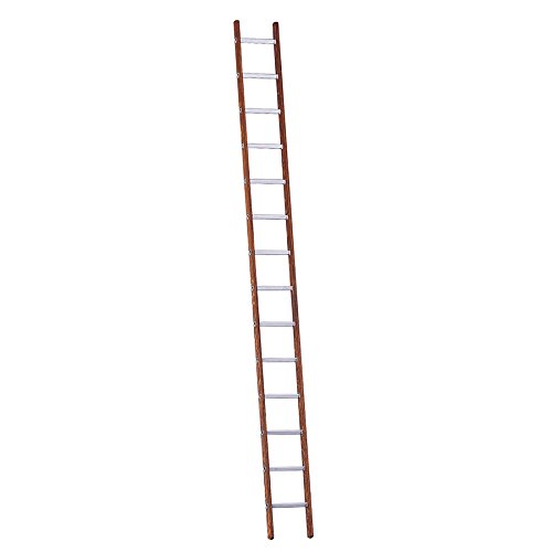 Layher 1029008 Verbundanlegeleiter 8 Sprossen, Holz-Aluminium-Anlegeleiter, Länge 2.40 m