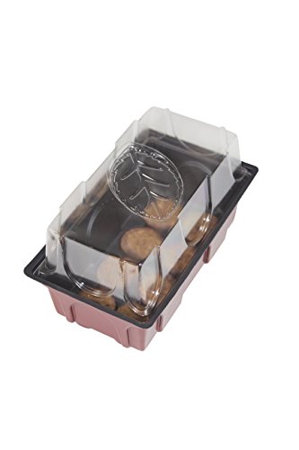 Windhager Zimmer-Gewächshaus Mini inklusiv 8 Quelltabs, terracotta / anthrazit, 11 x 19 x 6 cm, 06842