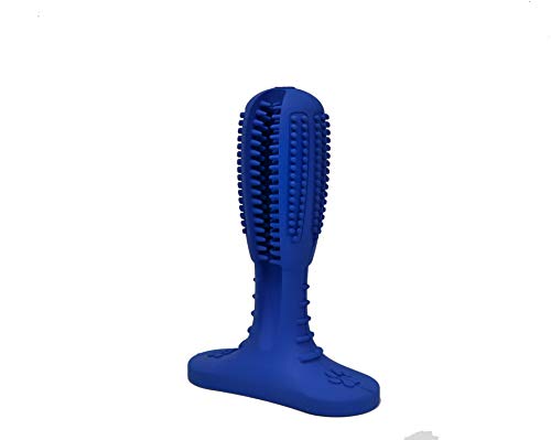 Mimm & Möpp Hundezahnbürste (M, blau)