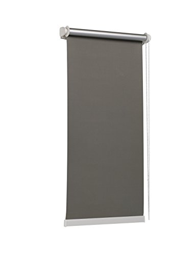 TEXMAXX - Reflect - Verdunklungsrollo Thermorollo Sichtschutz - 95 x 160 cm (Stoffbreite 91 cm) - Rollos für Fenster ohne Bohren inkl. Zubehör - in Grau - Silber