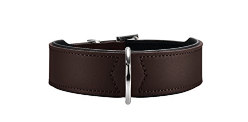 Hunter Hundehalsband Basic, 41-49 cm, braun/schwarz