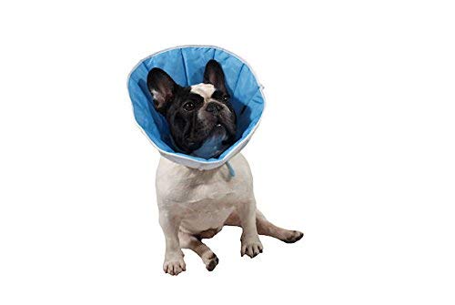Kragen / Kegel post-operativen für Hunde, Katzen oder Kaninchenn 4(XL) 36-44cm