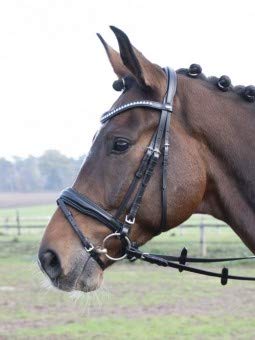 Busse Trense Comfort Plus, Warmblut extra groß, schwarz/Strass