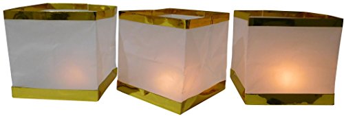 GW Handels UG 10 Stück Wasserlaterne Schwimmlaterne Schwimmkerzen Lampion Laterne Teelicht Kerze Windlicht Weiß Schwimmlicht Outdoor Deko