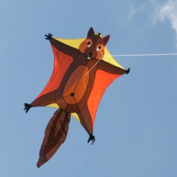 CIM Einleiner-Drachen für Kinder - Penta Flughörnchen - inkl. Drachenschnur