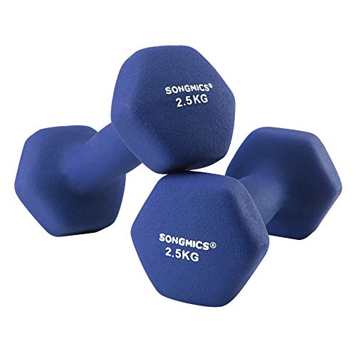 SONGMICS 2er-Set Hanteln Kurzhantel Gymnastikhantel Vinyl in verschiedenen Gewichts und Farbvarianten für Gymnastik Fitnesstraining