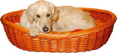 Trixie Korb Weide Dunk. 50Cm 28071