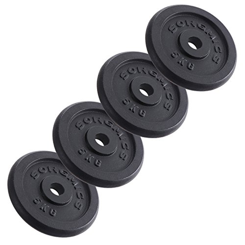 SONGMICS Hantelscheiben Gewichte Set aus Gusseisen 4 x 5 kg SYL02T