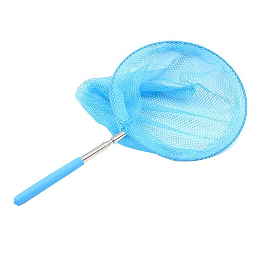 iTemer Fisch Kescher Entdeckerspielzeug Freizeitspass Ihrer Kinder Schmetterlingsnetz Kescher Fischernetz Blau 1 Stück