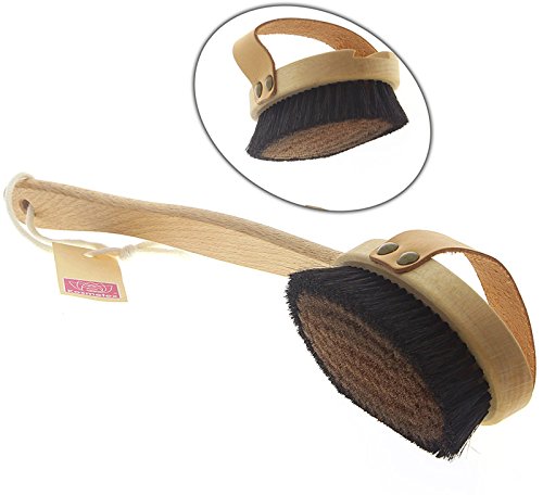 Klosterbürste, Body ionic, Kosmetex Energie Massagebürste Rückenbürste am abnehmbaren Stiel für Trockenmassage