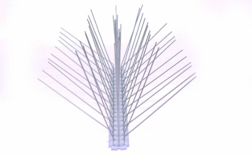 6 Stück 50 cm 5 reihig Edelstahl Taubenabwehr Vogelabwehr Taubenspikes Polycarbonat Profiqualität jetzt mit A+ Zertifizierung von MD