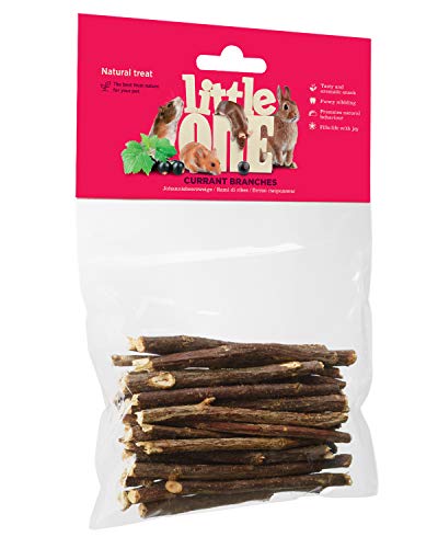 Little One Snack Johannisbeerzweige im Beutel, 1er Pack (1 x 50 g)