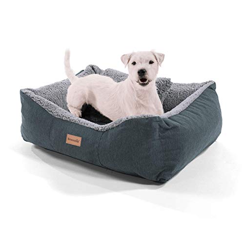 brunolie Emma Kleiner Hundekorb in Grau, waschbar, hygienisch und rutschfest, luftiges Hundebett mit Kissen zum Kuscheln, Größe S (59 x 67 x 20 cm)
