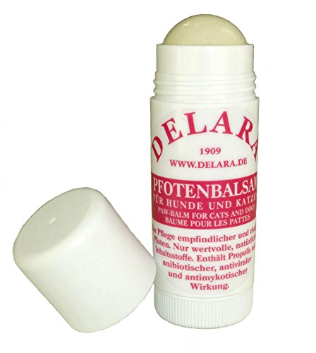 DELARA Natürlicher Pfotenbalsam für Hunde und Katzen, hochwertige Pfotenschutz-Creme in DAB-Qualität als praktischer Stick zur wirksamen Pflege empfindlicher und rissiger Pfoten – Made in Germany