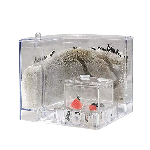 CVERY Ameisen-Farm Burg, natürliche Insekten-Ökologie-Box, Sandnest, Zuchtkäfig, Kinderspielzeug, Kunststoff, Ameisenhaus-Set zum Lernen von Ameisen im 3D-Labyrinth, No Pipe, Free Size
