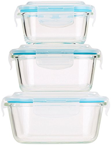 Rosenstein & Söhne Glasbehälter: 5in1 Glas Frischhaltedosen Set, 6 tlg., Clip-Deckel, -40 bis +400 C° (Glasdose)