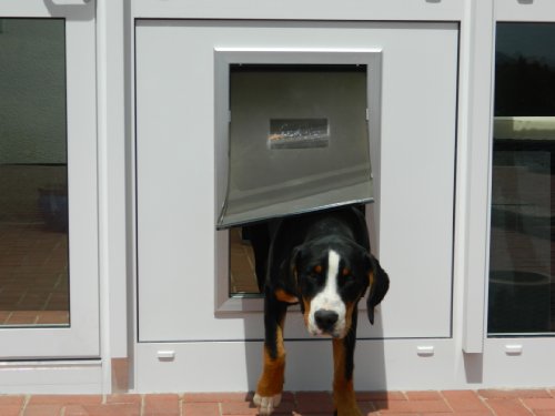 DD9XL-Pro, isolierte Hundeklappe mit Doppeltürtechnik gegen Zugluft und Kälte