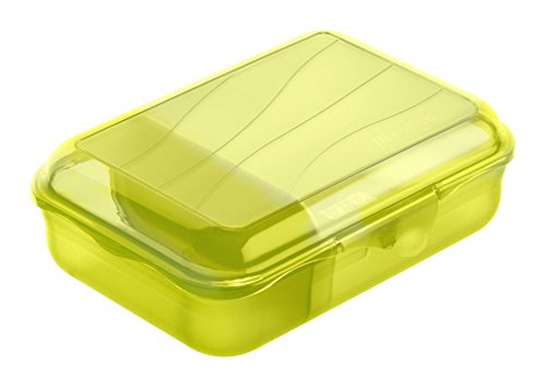 Rotho 1111805073 Vesperdose mit herausnehmbarer Trennwand (Größe: S) 0.9 L Inhalt, BPA-frei - Hergestellt in Schweiz, Kunststoff, lime grün, 18 x 13 x 6 cm