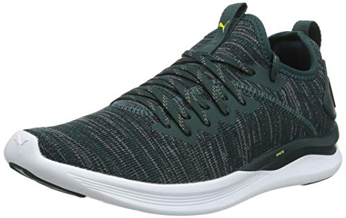 Puma Herren Ignite Flash Evoknit Cross-Trainer, Grün (Ponderosa Pine-Puma Black-Blazing Yellow 17), 42 EU