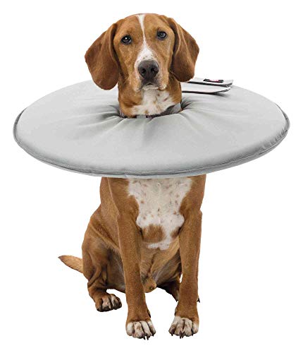 Trixie 19424 Schutzkragen, M: 38-42 cm/21,5 cm, grau