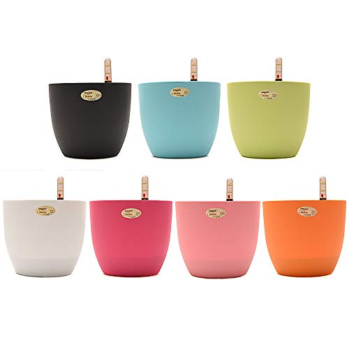 Sungmor Colorful Garden 1PC Pack Selbstbewässerung Übertopf, Abgerundeter weißer Blumentopf, Kreativer Wasseranzeiger & Zeitsparender Übertopf, Indoor Outdoor Dekorative Pflanztöpfe