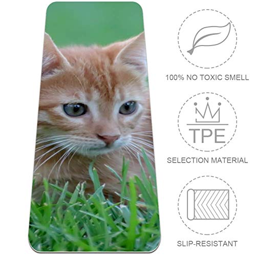 Yuzheng Katzengras Grün Universelle, rutschfeste, umweltfreundliche TPE-Übungs-Yogamatte mit hoher Dichte, besonders Dicke, reißfeste, harmlose Trainingsmatte für Frauen, Mädchen 183x61x0.6cm