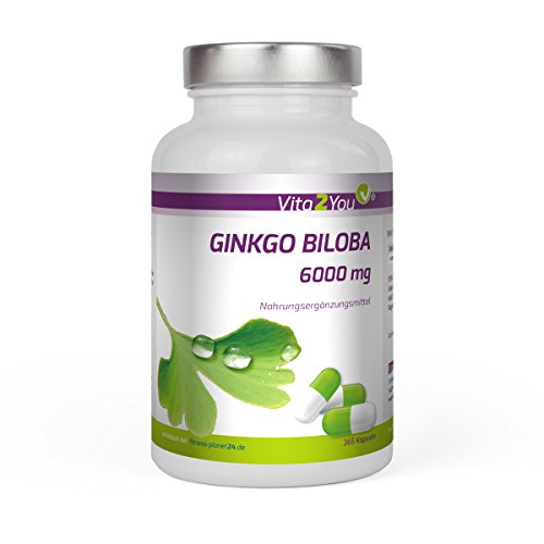 Ginkgo Biloba 6000mg - 365 Kapseln - Hochdosiert - Jahrespackung - Premium Qualität - Made in Germany
