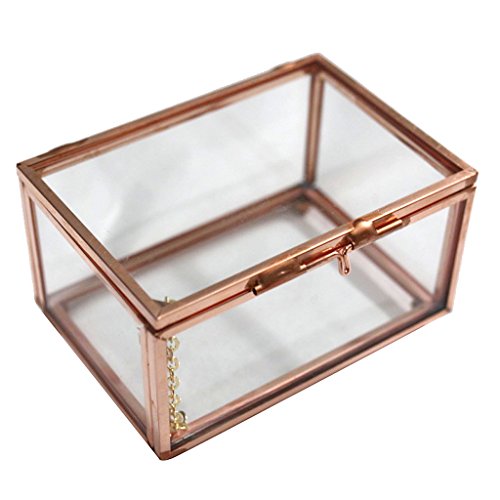 Blesiya Mini Rechteckig Schmuckschatulle Terrarium Sukkulenten Pflanzer - 10 x 7 x 6 cm Rosegold