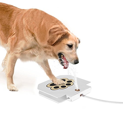 Anself Hund Trinkbrunnen Wasserfontäne für Hunde aus Edelstahl
