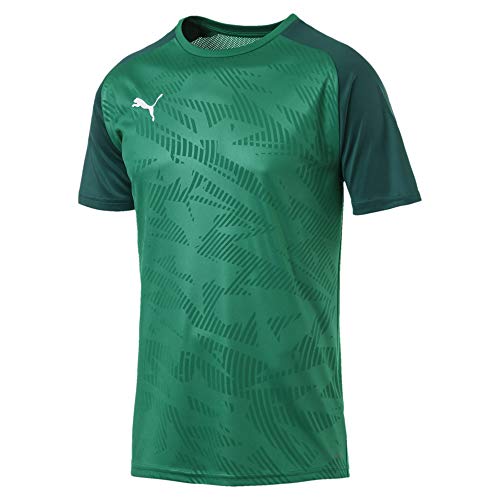 PUMA Herren Cup Training Jersey Core Trainingsshirt, Pepper Green-Alpine Green, XL