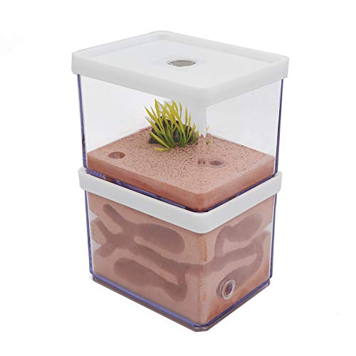 VERY100 Ant Farm Ameisennest Ameisenfarm Mit Künstlich Landschaft Mini-Welt der Ameisen Für Kinder Geschenk (L)