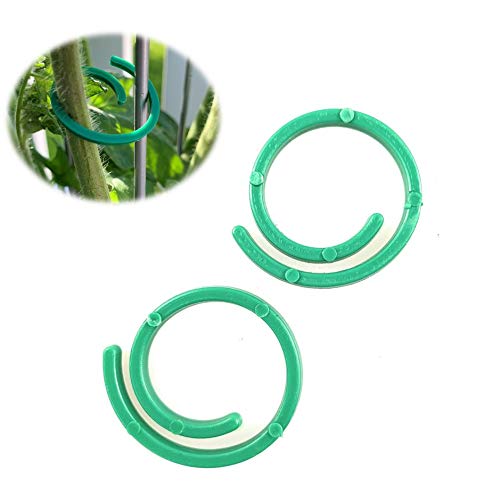 versandfuxx24 75 Pflanzenhalter Pflanzenbinder Pflanzenringe