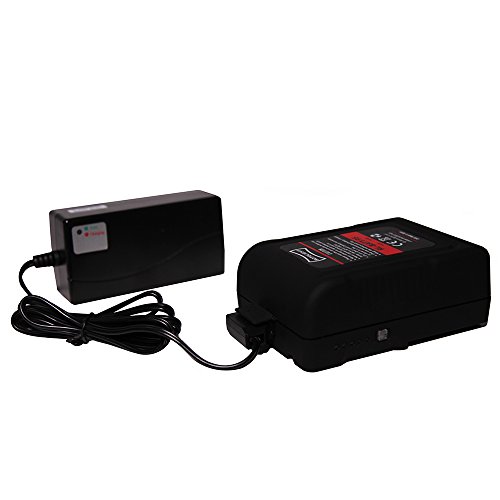 Rotolight RL-Charger-DTAP Travel D-Tap Reise-Ladegerät für V-Mount Li-Ion, 95Wh Schwarz