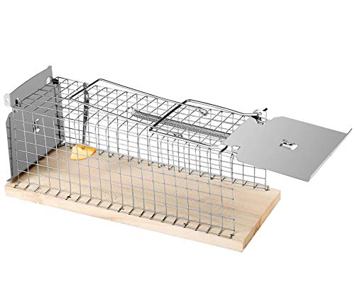 Praknu Rattenfalle Lebendfalle 30cm Groß | Effektiv und Robust | Falle für Wühlmause und Ratten