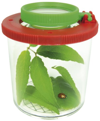Eduplay 150006 - Lupendose, groß