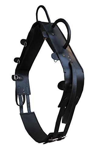 AMKA LEDER Voltigiergurt Pony mit 2 Beinschlaufen runden Griffen, schwarz hochwertig| Reithilfe Voltigieren AMKA | auch für Holzpferde