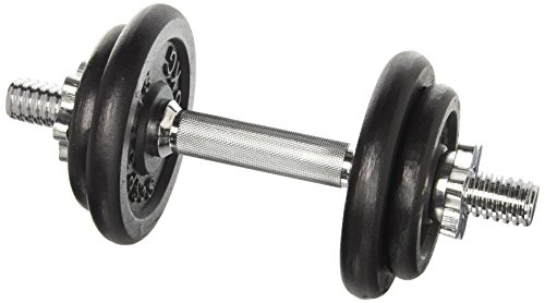 Scsports 10 kg Hantelset, 1x Kurzhantel Chrom, mit Sternverschlüssen und 4 Hantelscheiben (2x 2,5 kg, 2x 1,25 kg), Gewichte aus Guss