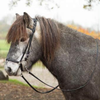 Waldhausen Island Trense Keflavik, schwarz, schwarz