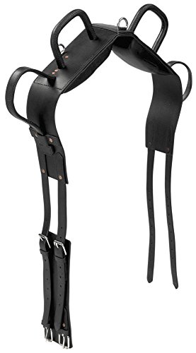 Busse Voltigiergurt, P, schwarz