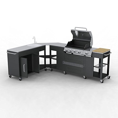 Festnight Outdoor Grillwagen BBQ Grillwagen Barbecue-Grill Gas-Grill aus Edelstahl/Stahl