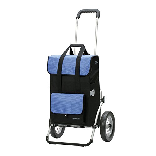 Andersen Einkaufstrolley Royal Vektor oder Wismar mit großen Rädern und Thermofach, Shopper Tasche schwarz oder grau, Stahl oder Aluminium Gestell